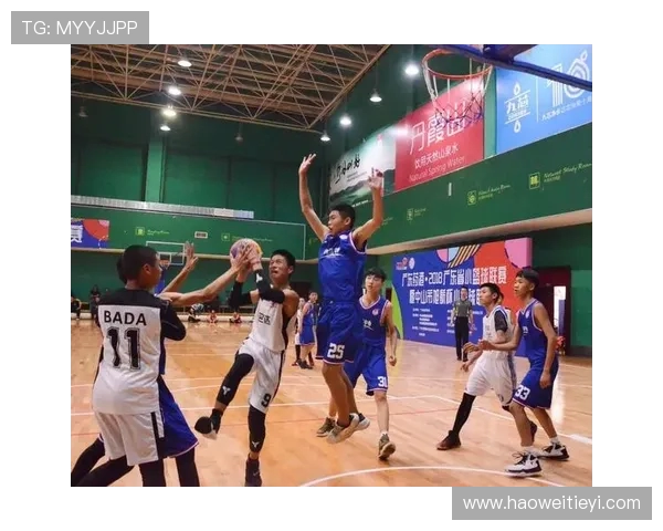 深圳篮球队灵活性分析及其在联赛中的表现对比研究