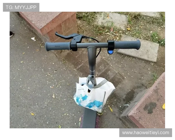 滑板战术解析成都滑板队的包夹体系与战术运用探讨