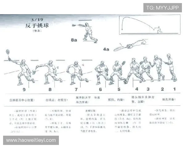 羽毛球的魅力与挑战：深入分析杭州羽毛球队的个人技能与战术策略