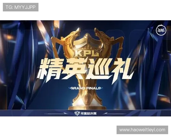 聚焦王者荣耀:探讨JDG战队背后的实力与团队精神