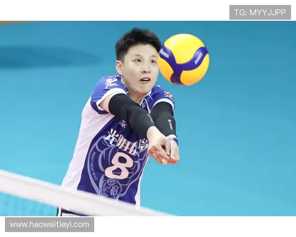 专访张磊：探寻排球辉煌背后的成功秘诀与团队精神